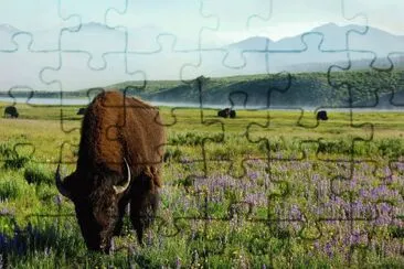 014 jigsaw puzzle