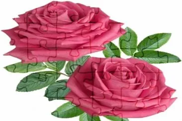 Rosas-Flores jigsaw puzzle