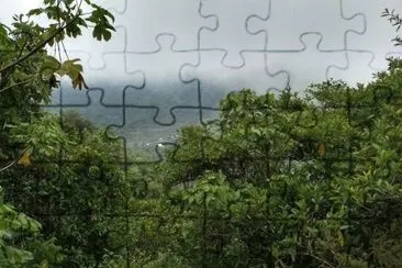 el jonote jigsaw puzzle