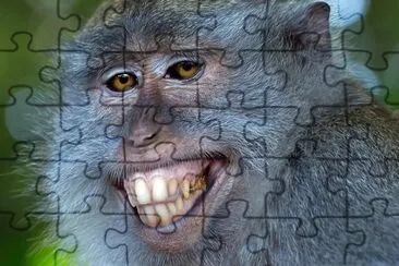 m jigsaw puzzle