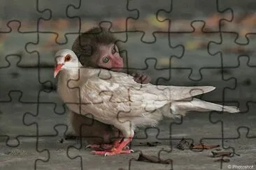 m2 jigsaw puzzle