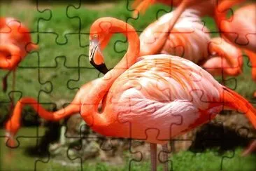 m10 jigsaw puzzle