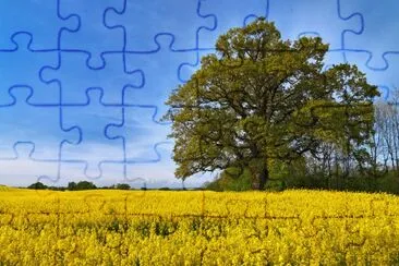 paisaje jigsaw puzzle