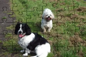 Two tired dogs jigsaw puzzle