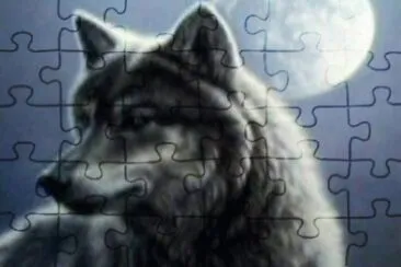 41a jigsaw puzzle