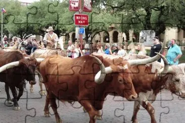 פאזל של Ft Worth StockYards