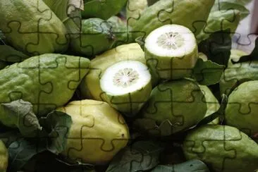 cedro jigsaw puzzle