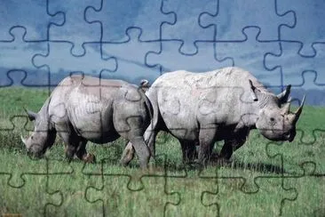 awrwtg jigsaw puzzle