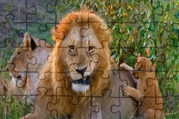 alfwc1 jigsaw puzzle