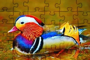 159 jigsaw puzzle