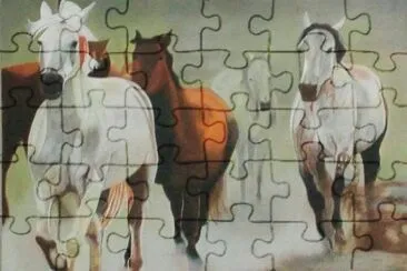 saraprior jigsaw puzzle