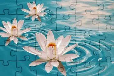 flores de agua jigsaw puzzle