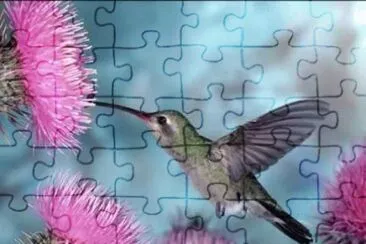 pajarito y flor jigsaw puzzle