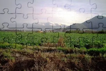 prado jigsaw puzzle