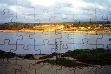 punta de tralca jigsaw puzzle