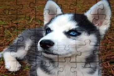 :) jigsaw puzzle