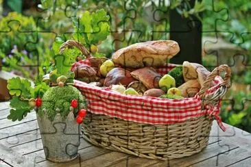 Fresh Autumn Mushrooms