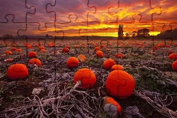 פאזל של Pumpkin Farm at Sunset