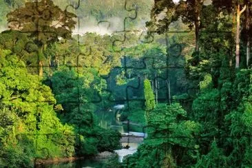 foret jigsaw puzzle