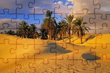 desert jigsaw puzzle