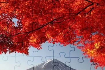 40 jigsaw puzzle