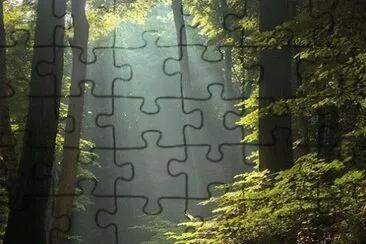 43 jigsaw puzzle