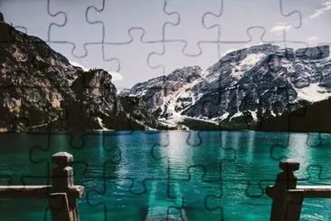 79 jigsaw puzzle