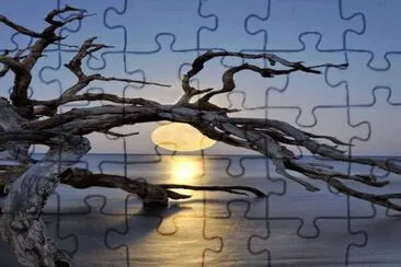 80 jigsaw puzzle