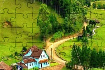  jigsaw puzzle