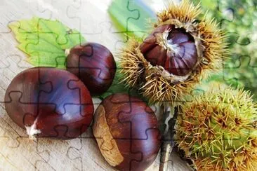 castagne