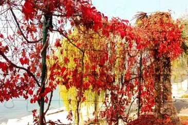 autunno sul lago di Garda