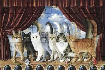 cats jigsaw puzzle