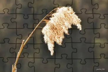 image jigsaw puzzle