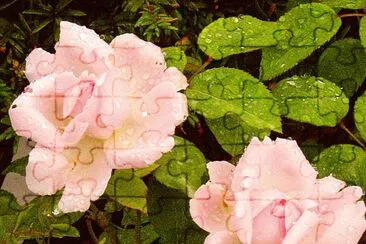 rosen jigsaw puzzle