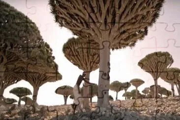 פאזל של Cotra Island Trees