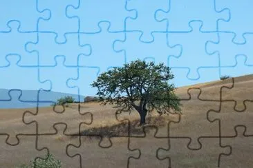 campagne calabraise jigsaw puzzle