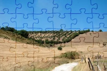 campagne calabraise jigsaw puzzle