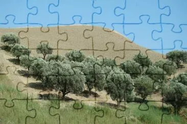 Campagne calabraise jigsaw puzzle