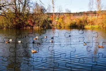 am Katzensee