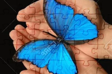 Mariposa jigsaw puzzle