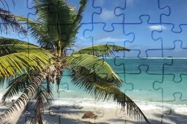  jigsaw puzzle