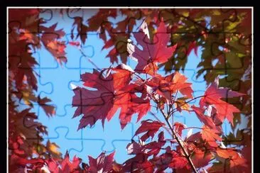 Upstate SC fall foliage jigsaw puzzle