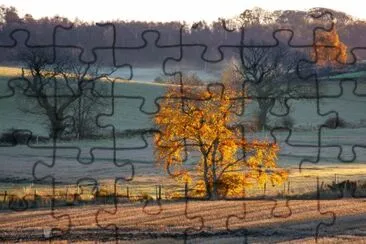 Frosty golden tree