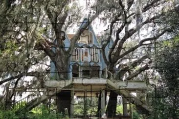 Tree House