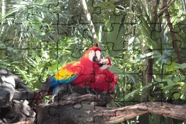 Guacamayas jigsaw puzzle