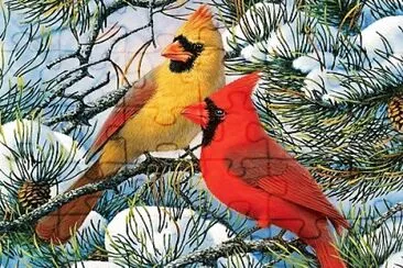 oiseaux jigsaw puzzle