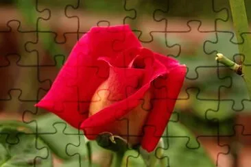  jigsaw puzzle