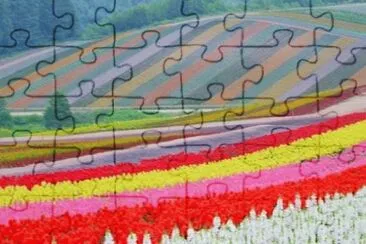 flower11 jigsaw puzzle