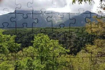  jigsaw puzzle