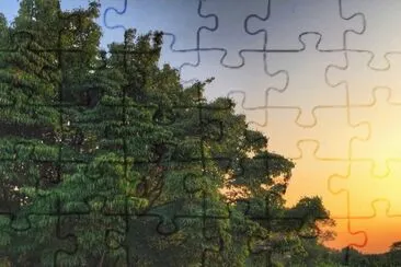 tree of life jigsaw puzzle